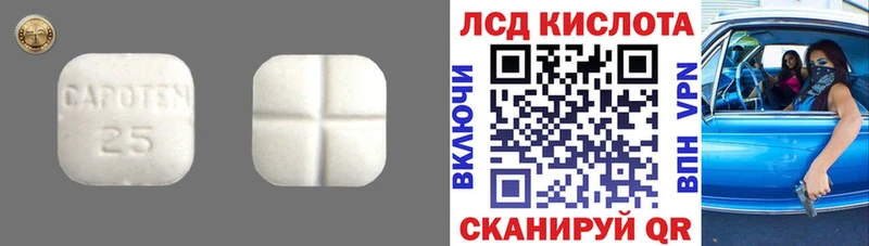 дарнет шоп  Беломорск  ЛСД экстази ecstasy 