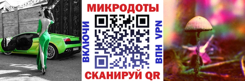 как найти закладки Беломорск Псилоцибиновые грибы мухоморы